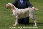 Filename=W DesignSecret.jpg
Filesize=54KiB
Dimensions=550x379
Date added=Sep 14, 2009 W DesignSecret.jpg