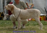 Filename=O-BreathOfLife.jpg
Filesize=63KiB
Dimensions=550x396
Date added=Sep 14, 2009 O-BreathOfLife.jpg