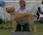 Filename=R-Rhuannon.jpg
Filesize=59KiB
Dimensions=550x452
Date added=Sep 14, 2009 R-Rhuannon.jpg