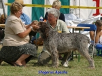 Filename=S-Apache.jpg
Filesize=75KiB
Dimensions=550x414
Date added=Sep 14, 2009 S-Apache.jpg