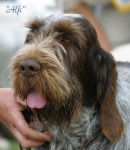 Filename=Alfi.jpg
Filesize=42KiB
Dimensions=479x550
Date added=Sep 14, 2009 Alfi.jpg
