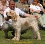 Filename=B-Boscarelli.jpg
Filesize=49KiB
Dimensions=567x562
Date added=Sep 14, 2009 B-Boscarelli.jpg