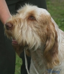 Filename=Barney2.jpg
Filesize=36KiB
Dimensions=479x550
Date added=Sep 14, 2009 Barney2.jpg