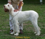 Dateiname=C-Noney.jpg
Dateigröße=48KB
Abmessungen: 567x487
hinzugefügt am: 14. September 2009 C-Noney.jpg
