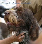 Dateiname=Cesare-2.jpg
Dateigröße=35KB
Abmessungen: 525x550
hinzugefügt am: 14. September 2009 Cesare-2.jpg