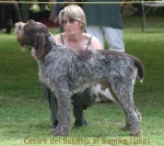 Dateiname=Cesare.jpg
Dateigröße=51KB
Abmessungen: 567x504
hinzugefügt am: 14. September 2009 Cesare.jpg