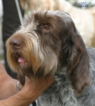 Dateiname=Ellie.jpg
Dateigröße=43KB
Abmessungen: 496x550
hinzugefügt am: 14. September 2009 Ellie.jpg