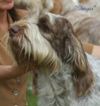 Dateiname=Fergus.jpg
Dateigröße=37KB
Abmessungen: 522x550
hinzugefügt am: 14. September 2009 Fergus.jpg