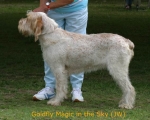 Dateiname=G-Magic.jpg
Dateigröße=40KB
Abmessungen: 567x456
hinzugefügt am: 14. September 2009 G-Magic.jpg