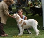 Filename=G-StarTurn.jpg
Filesize=51KiB
Dimensions=567x492
Date added=Sep 14, 2009 G-StarTurn.jpg