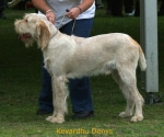 Filename=K-Denys.jpg
Filesize=47KiB
Dimensions=567x474
Date added=Sep 14, 2009 K-Denys.jpg