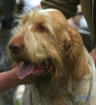 Filename=Lenny.jpg
Filesize=33KiB
Dimensions=509x550
Date added=Sep 14, 2009 Lenny.jpg