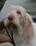 Filename=Lilly.jpg
Filesize=33KiB
Dimensions=443x550
Date added=Sep 14, 2009 Lilly.jpg