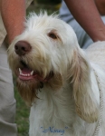 Filename=Noney.jpg
Filesize=32KiB
Dimensions=428x550
Date added=Sep 14, 2009 Noney.jpg