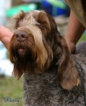 Filename=Penny.jpg
Filesize=30KiB
Dimensions=454x550
Date added=Sep 14, 2009 Penny.jpg