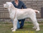 Filename=B-HighHopes.jpg
Filesize=46KiB
Dimensions=550x430
Date added=Sep 14, 2009 B-HighHopes.jpg