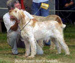Filename=A-Nigel.jpg
Filesize=56KiB
Dimensions=539x458
Date added=Sep 14, 2009 A-Nigel.jpg