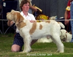 Filename=W-CrackerJack.jpg
Filesize=49KiB
Dimensions=539x423
Date added=Sep 14, 2009 W-CrackerJack.jpg