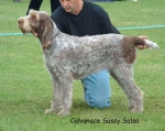 Filename=C-SassySalsa.jpg
Filesize=51KiB
Dimensions=892x711
Date added=Sep 14, 2009 C-SassySalsa.jpg