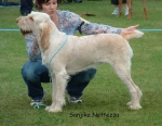 Filename=S-Nettezza.jpg
Filesize=50KiB
Dimensions=961x747
Date added=Sep 14, 2009 S-Nettezza.jpg