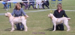 Filename=PuppyChallenge.jpg
Filesize=63KiB
Dimensions=1000x471
Date added=Sep 14, 2009 PuppyChallenge.jpg