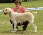 Filename=S-Nettezza.jpg
Filesize=56KiB
Dimensions=550x449
Date added=Sep 14, 2009 S-Nettezza.jpg