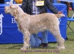 Filename=S-Tetrazzini.jpg
Filesize=54KiB
Dimensions=550x404
Date added=Sep 14, 2009 S-Tetrazzini.jpg
