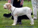 Filename=B-CuttingEdge.jpg
Filesize=45KiB
Dimensions=550x413
Date added=Sep 14, 2009 B-CuttingEdge.jpg