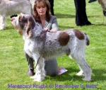 Filename=M-KnightToRemember.jpg
Filesize=56KiB
Dimensions=550x466
Date added=Sep 14, 2009 M-KnightToRemember.jpg