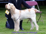 Filename=O-Rondone.jpg
Filesize=53KiB
Dimensions=550x410
Date added=Sep 14, 2009 O-Rondone.jpg