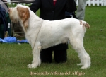 Filename=B-Alfetta.jpg
Filesize=51KiB
Dimensions=550x403
Date added=Sep 14, 2009 B-Alfetta.jpg