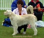 Filename=B-HighHopes.jpg
Filesize=58KiB
Dimensions=550x482
Date added=Sep 14, 2009 B-HighHopes.jpg