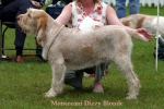 Filename=M-DizzyBlonde.jpg
Filesize=56KiB
Dimensions=550x370
Date added=Sep 14, 2009 M-DizzyBlonde.jpg