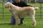 Filename=R-Rhuannon.jpg
Filesize=59KiB
Dimensions=550x367
Date added=Sep 14, 2009 R-Rhuannon.jpg