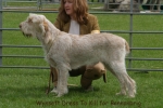 Filename=W-DressToKill.jpg
Filesize=55KiB
Dimensions=550x367
Date added=Sep 14, 2009 W-DressToKill.jpg