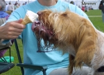Filename=IceCream-1.jpg
Filesize=51KiB
Dimensions=550x401
Date added=Sep 14, 2009 IceCream-1.jpg