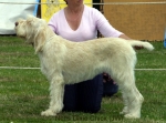 Filename=N-DixieChick.jpg
Filesize=51KiB
Dimensions=550x407
Date added=Sep 14, 2009 N-DixieChick.jpg