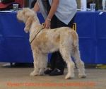 Filename=W-CultureVulture.jpg
Filesize=48KiB
Dimensions=550x464
Date added=Sep 14, 2009 W-CultureVulture.jpg