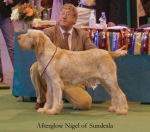 Filename=A-Nigel.jpg
Filesize=44KiB
Dimensions=550x484
Date added=Sep 14, 2009 A-Nigel.jpg