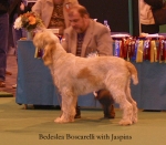 Filename=B-Boscarelli.jpg
Filesize=58KiB
Dimensions=550x481
Date added=Sep 14, 2009 B-Boscarelli.jpg