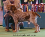 Filename=B-Capello.jpg
Filesize=58KiB
Dimensions=550x447
Date added=Sep 14, 2009 B-Capello.jpg
