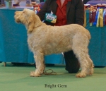 Filename=B-Gem.jpg
Filesize=53KiB
Dimensions=550x473
Date added=Sep 14, 2009 B-Gem.jpg