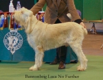 Filename=B-LucaNoFurther.jpg
Filesize=51KiB
Dimensions=550x431
Date added=Sep 14, 2009 B-LucaNoFurther.jpg