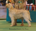 Filename=B-NoroyDuPlessy.jpg
Filesize=52KiB
Dimensions=550x466
Date added=Sep 14, 2009 B-NoroyDuPlessy.jpg