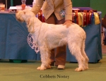 Filename=C-Noney.jpg
Filesize=51KiB
Dimensions=550x424
Date added=Sep 14, 2009 C-Noney.jpg