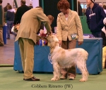 Filename=C-Ritratto.jpg
Filesize=52KiB
Dimensions=550x471
Date added=Sep 14, 2009 C-Ritratto.jpg