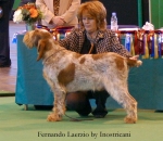 Filename=F-Laerzio.jpg
Filesize=48KiB
Dimensions=550x478
Date added=Sep 14, 2009 F-Laerzio.jpg