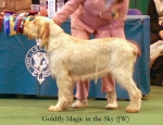 Filename=G-MagicInTheSky.jpg
Filesize=51KiB
Dimensions=550x423
Date added=Sep 14, 2009 G-MagicInTheSky.jpg
