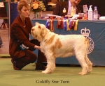 Filename=G-StarTurn.jpg
Filesize=52KiB
Dimensions=550x456
Date added=Sep 14, 2009 G-StarTurn.jpg