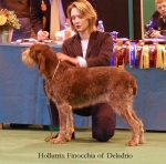 Filename=H-Finocchia.jpg
Filesize=56KiB
Dimensions=550x546
Date added=Sep 14, 2009 H-Finocchia.jpg